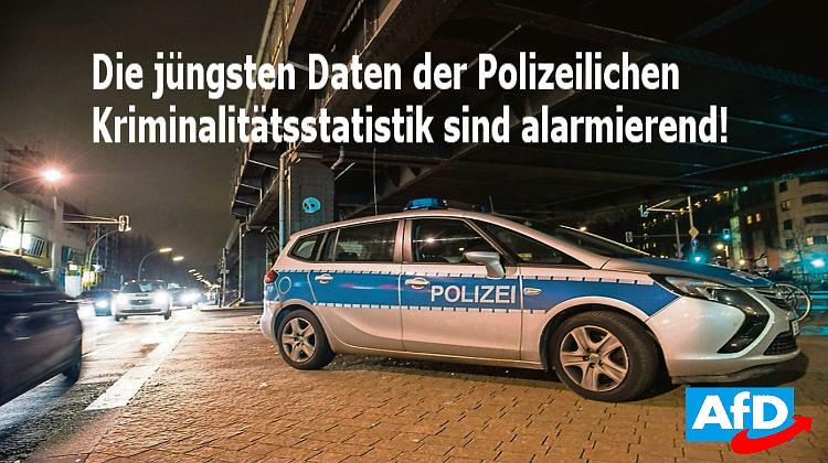 AfD: Polizeiliche Kriminalitätsstatistik von Berlin als alarmierend