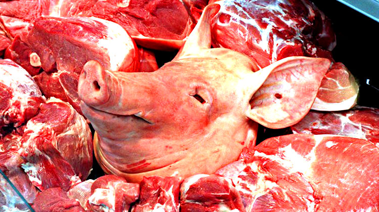 Weltwirtschaftsforum: Fleischverzicht kann Millionen Menschen retten