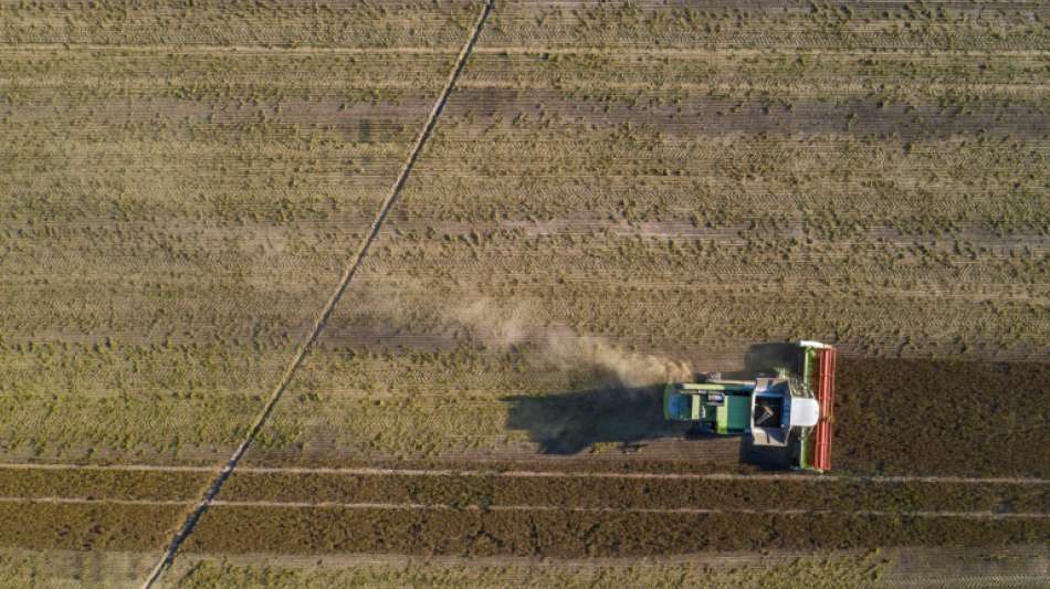 Landwirte blockieren mehrere Aldi-Zentrallager in Niedersachsen 