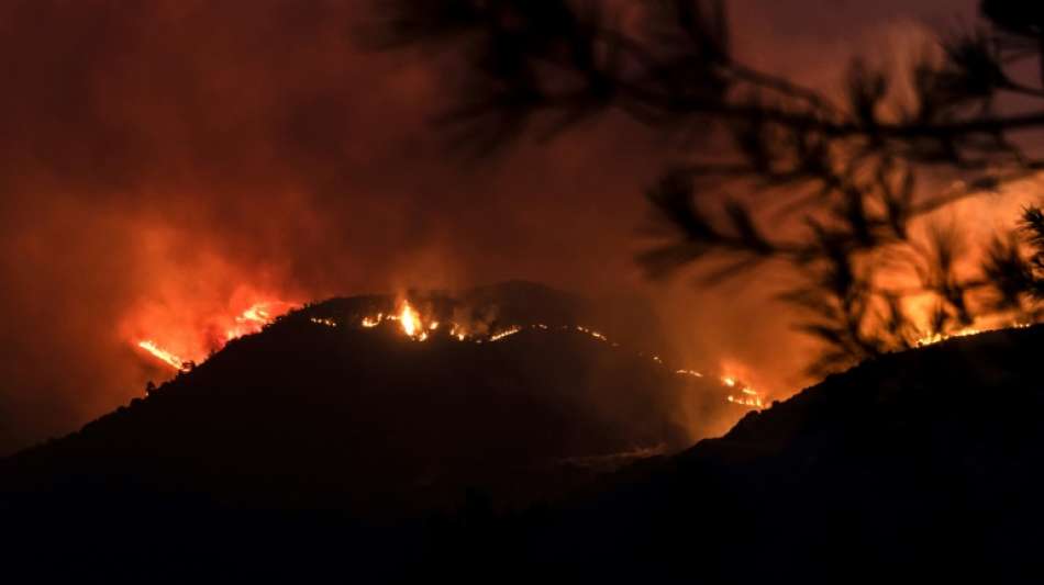 Polizei Zypern: Vier Tote bei einem verheerendem Waldbrand