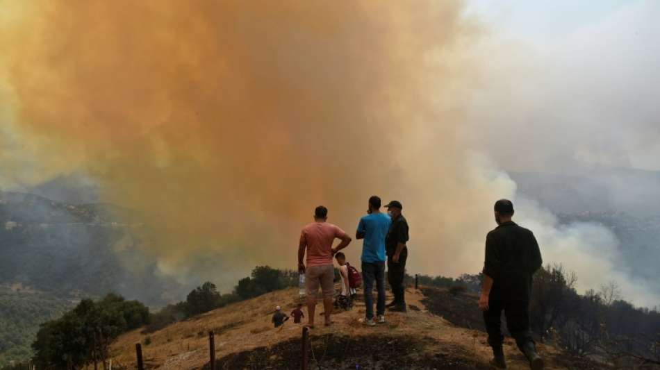 Mehrzahl der Waldbrände in Algerien unter Kontrolle