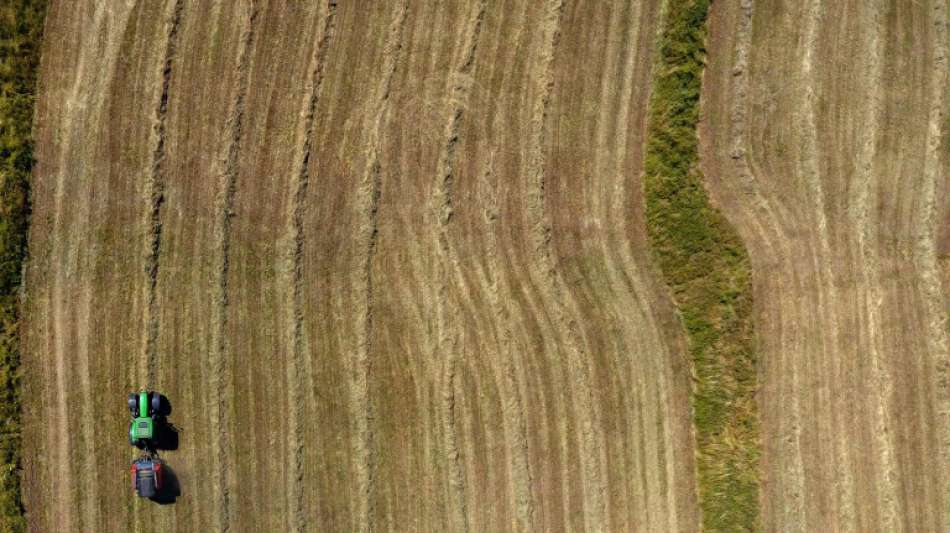 Bericht: Deutsche Landwirte verdienen im EU-Vergleich wenig