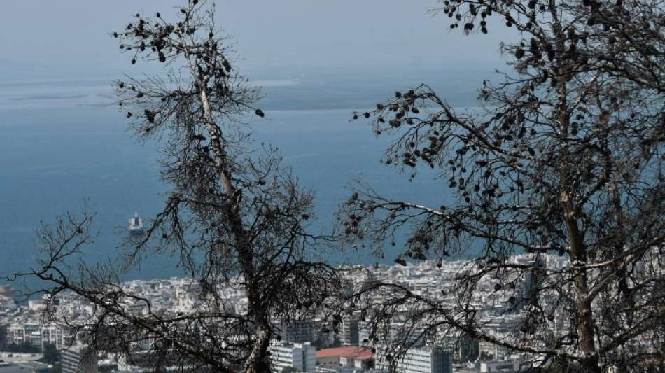 Griechische Kirche will von Schädlingen geplagten Wald segnen