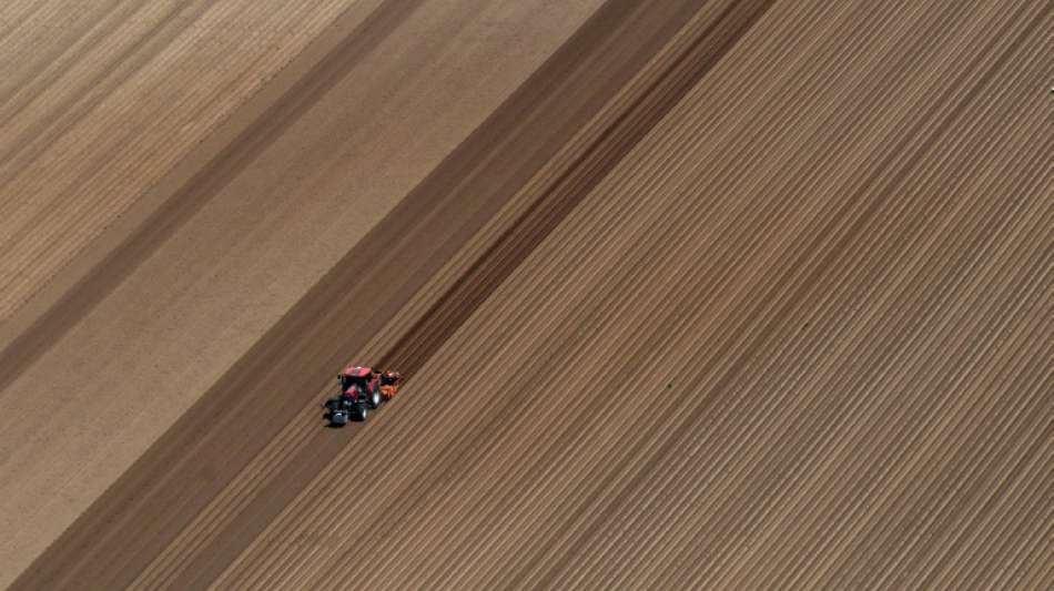 EU-Agrarpolitik trägt laut Rechnungshof kaum zum Erhalt der Artenvielfalt bei