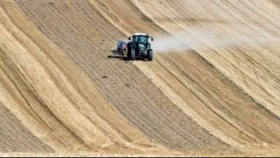 FDP will Landwirten steuerfreie Dürre-Rücklagen ermöglichen