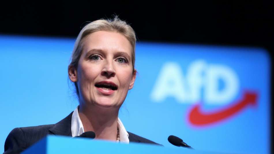 Weidel übernimmt Landesvorsitz der AfD in Baden-Württemberg 