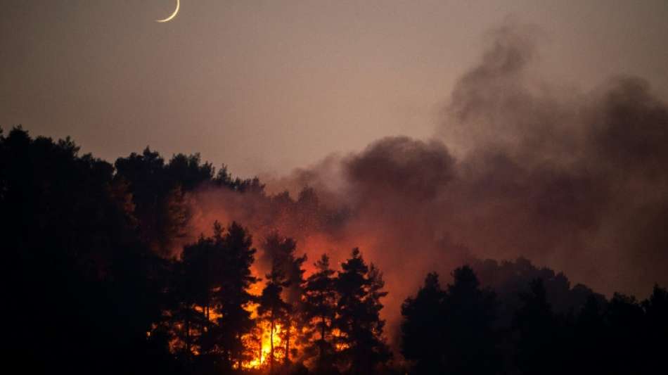 Neuer Waldbrand im Süden der griechischen Insel Euböa ausgebrochen