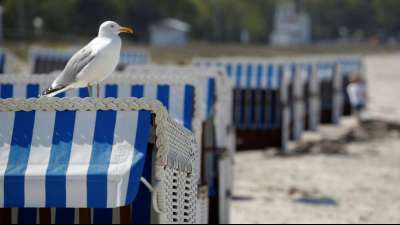 Urteil: Ostsee-Ferienwohnung darf nicht an Geimpfte oder Genesene vermietet werden