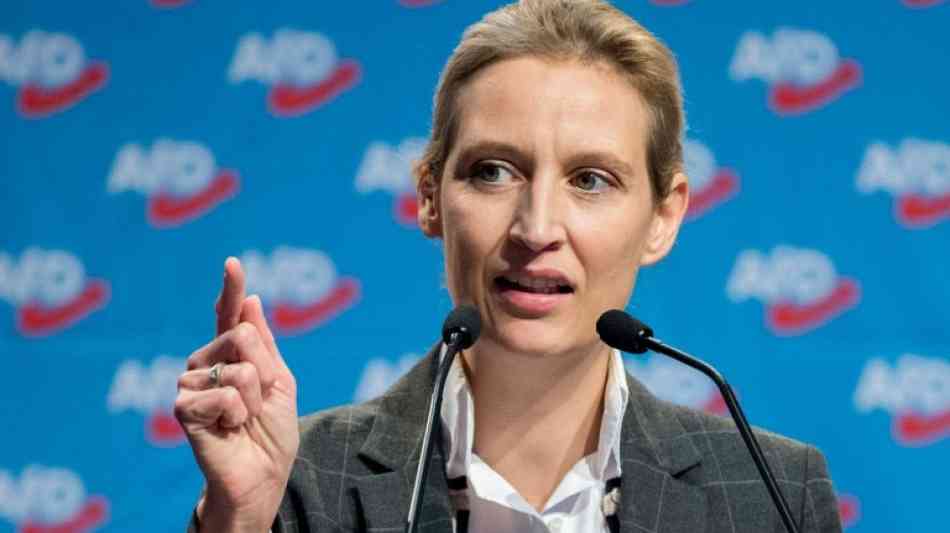 Politik: AfD will künftig ihre eigenen Nachrichten machen