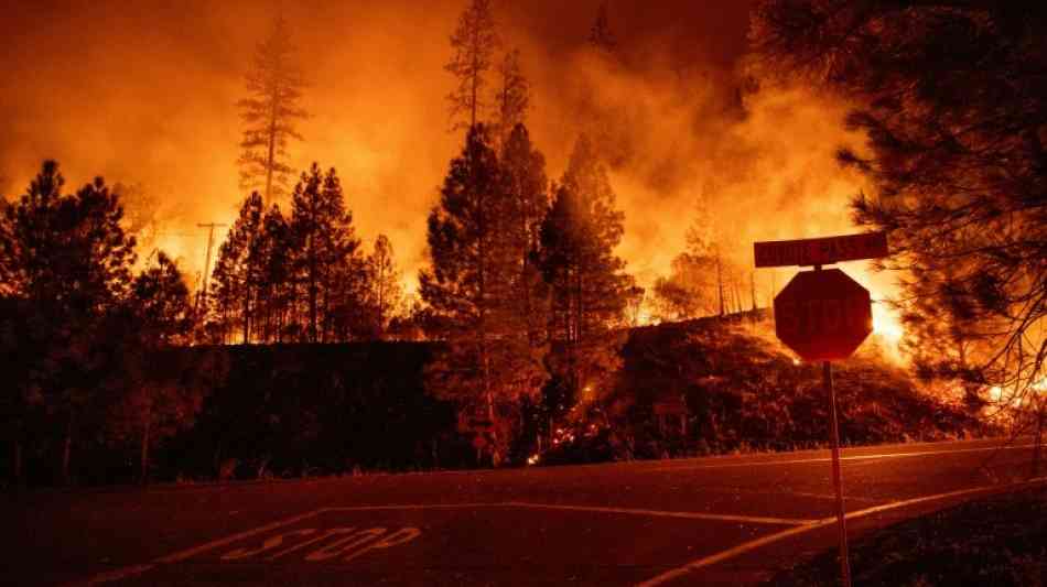 USA - Feuerwehr Sacramento: Erneuter Waldbrand in Kalifornien