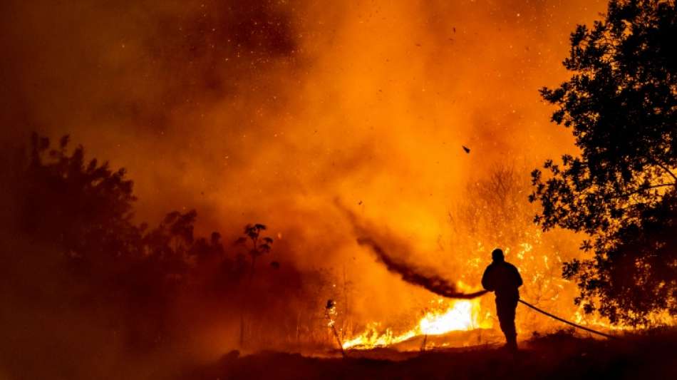 Feuerwehr bringt riesigen Waldbrand auf Zypern unter Kontrolle