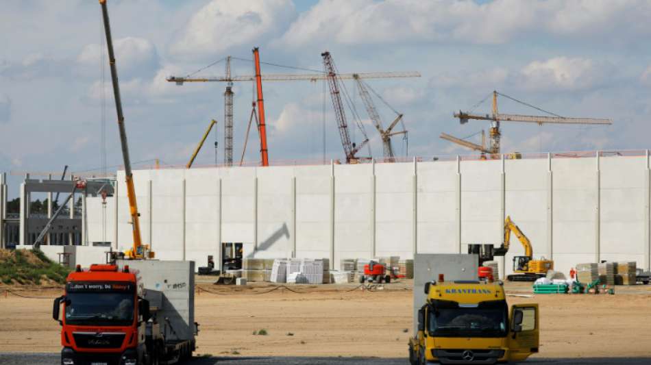 Tesla muss weitere Rodungsarbeiten für Gigafactory bei Berlin vorerst aussetzen