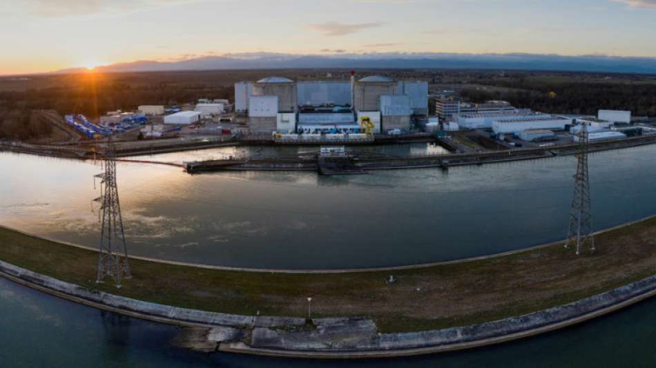 Bundesregierung begrüßt Aus für Atomkraftwerk Fessenheim