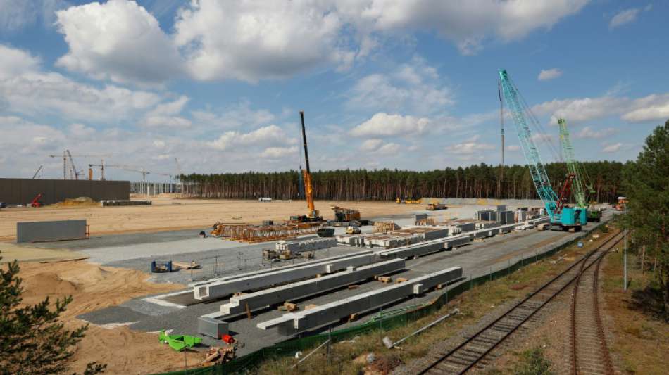 Umweltschützer wollen weitere Rodungen für Tesla-Fabrik bei Berlin stoppen