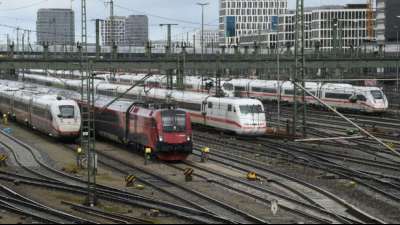 Zahl der Fahrten mit Bahnen und Bussen 2019 weiter gestiegen