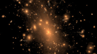 Tripudio di galassie nelle immagini del telescopio italiano Vst