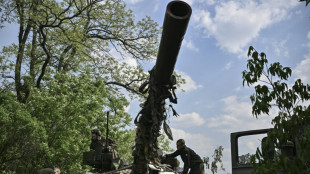 Ukraine: l'aciérie Azovstal est tombée, "feu intense" sur le Donbass