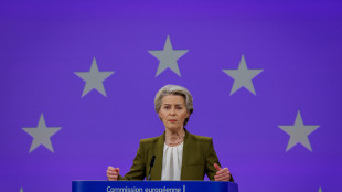 Von der Leyen a Trump, 'Usa e Ue più che semplici alleati'