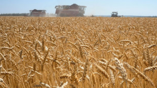 Özdemir will Ausnahme bei EU-Regeln für mehr Weizenanbau in Europa