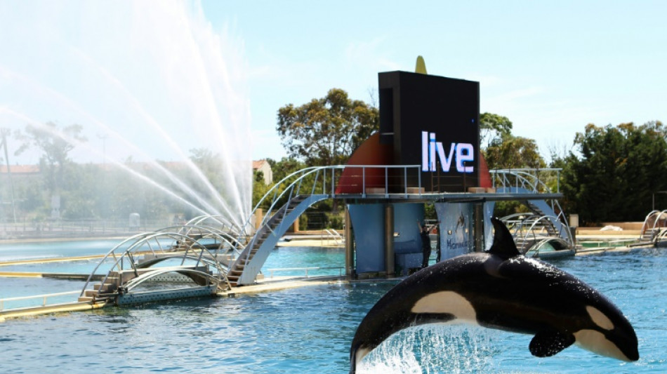 Marineland: les orques toujours intransférables confirme la justice en appel