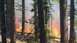 Bomberos luchan contra incendio que amenaza a gigantes secuoyas en California