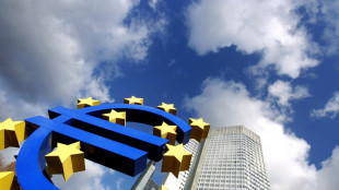 Verbali Bce, 'l'incertezza politica può colpire i consumi'