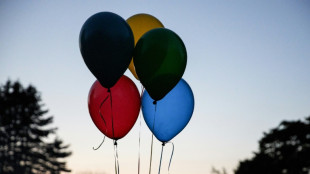 Freispruch in Nachbarschaftsstreit um falschen Hilferuf an Luftballon in Dessau