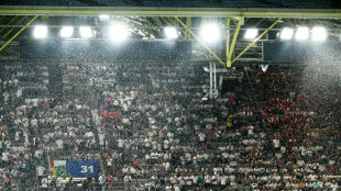 Bei EM-Spiel: Mann am Stadion-Dach sorgt Polizeieinsatz