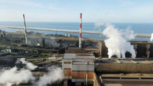 A Dunkerque, l'électricité étend sa toile pour verdir l'industrie