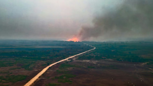 El cambio climático y la expansión agrícola favorecen los fuegos en el Pantanal brasileño, según un experto