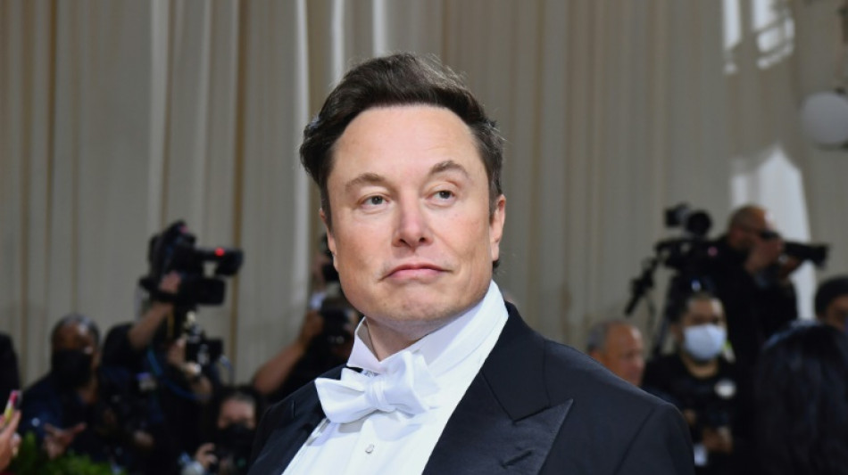 Elon Musk nach Bericht über Zwillinge: 