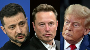 Elon Musk took part in Trump-Zelensky call: Ukrainian official