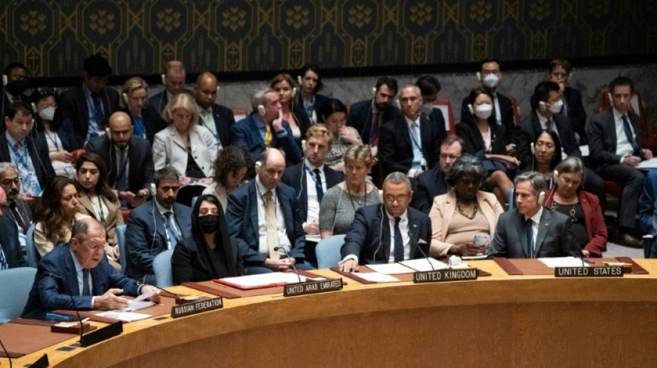 Rusia, totalmente sola en el Consejo de Seguridad de la ONU