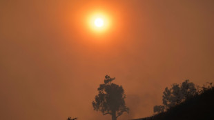 Studie: Zehntausende Tote durch Luftverschmutzung infolge von Waldbränden in Kalifornien
