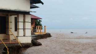 Glissement de terrain en Indonésie: 11 morts et 19 disparus près d'une mine d'or