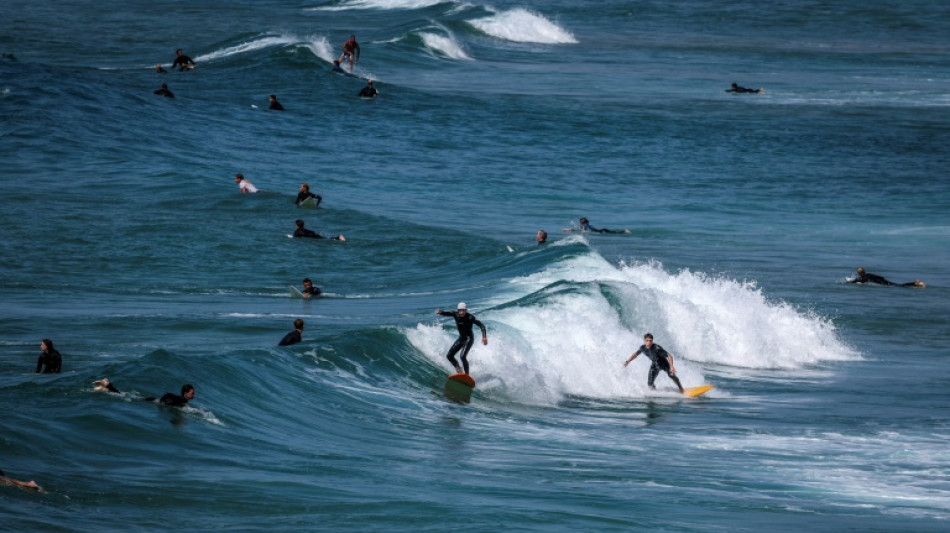 Luces en las tablas de surf podrían repeler ataques de tiburones, según un estudio