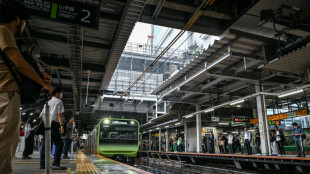 A station a day on Tokyo's teeming Yamanote Line