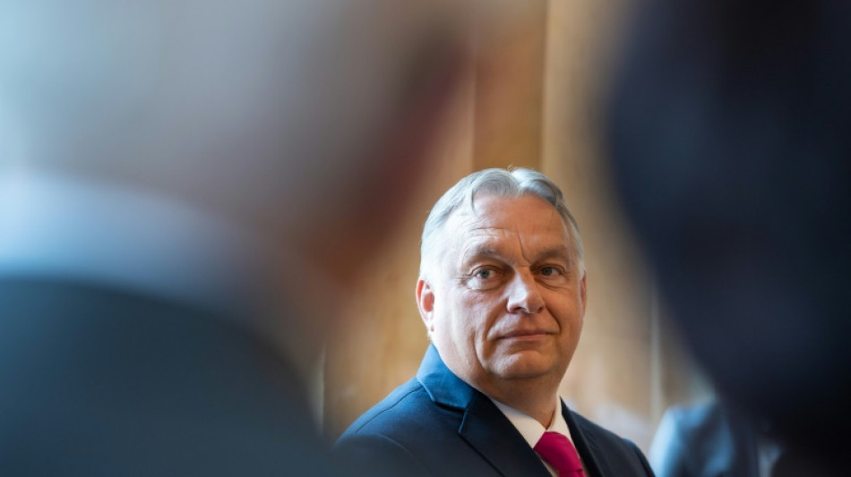 Viktor Orban, el detractor de la UE que asume la presidencia del bloque