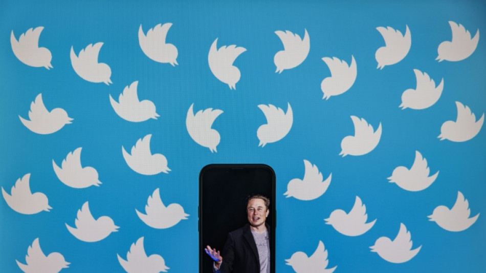 Aktionäre stärken Twitter mit Zustimmung zu Musk-Übernahme den Rücken
