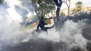 Quattro i fermati al corteo pro Pal