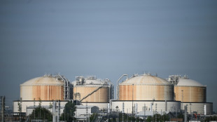 Umweltschutzverbände kündigen Widerspruch gegen LNG-Terminal in Wilhelmshaven an
