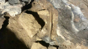 Descubren en Australia el rastro de un ritual aborigen de 12.000 años de antigüedad