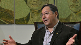 Bolivia levantó prohibición de usar criptomonedas por escasez de dólares Milei es conflictivo y no ayuda al "buen vecindario", dice presidente de Bolivia
