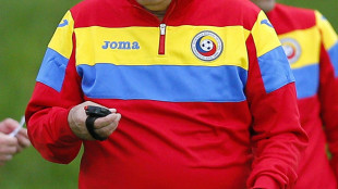 Euro 24:Romania;Iordanescu,dovremo essere vicini alla perfezione