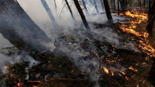 Colombie: plus de 9.000 hectares brûlés par les feux de forêt