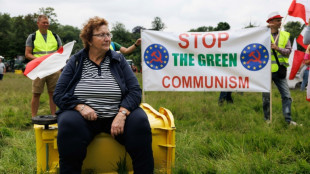 From wave to washout? Greens face tough time at EU vote
