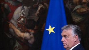 Orban, 'accordo su top jobs vergognoso,elettori ingannati'