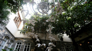 Damascus art installation turns ceramic doves into war symbol