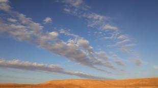 Arábia Saudita recebe conferência mundial sobre desertificação