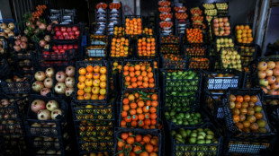 Zollbeamte entdecken in Stuttgart fast 70 Kilogramm Obst in Reisegepäck